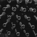 Vintage Wine